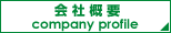 ЊTv